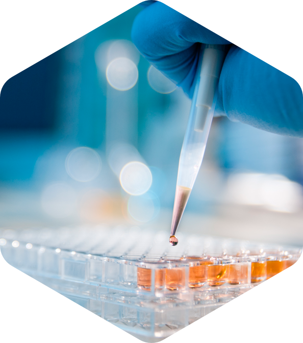 Chemischer Versuch mit einer Pipette und Flüssigkeit